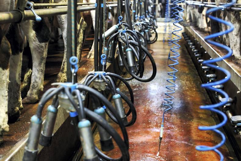 Milk prices rising slowly             