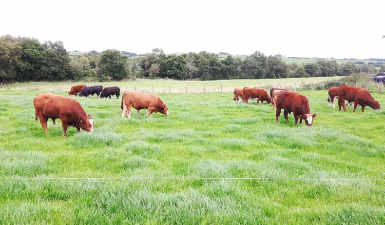 Strong buy-in for land use report