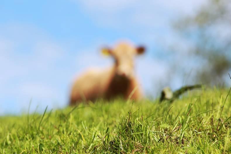 What's on from Thursday, 29 September 2016