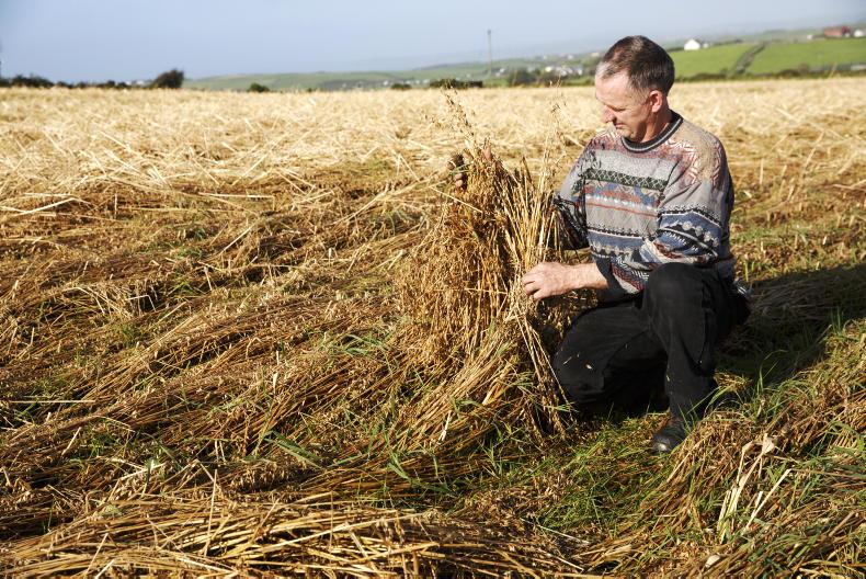 Weather limiting straw supplies