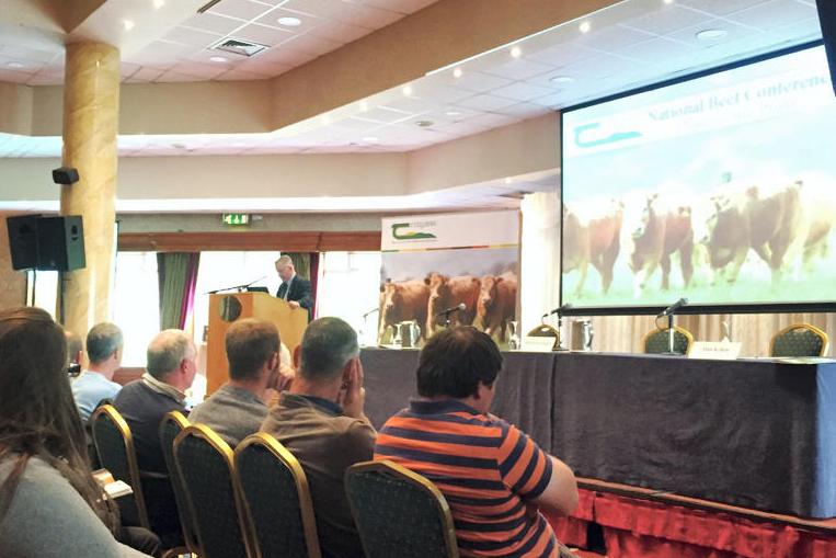 Beef farmer targets gross margin of €1,200/ha