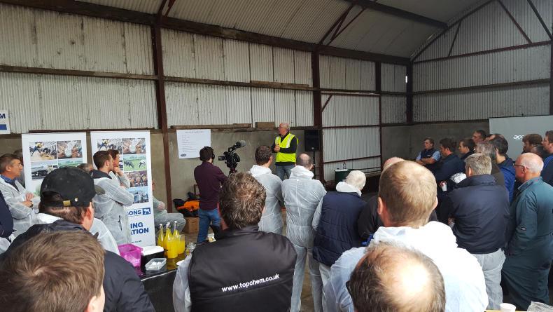 Listen: improving cow fertility on NI dairy farms
