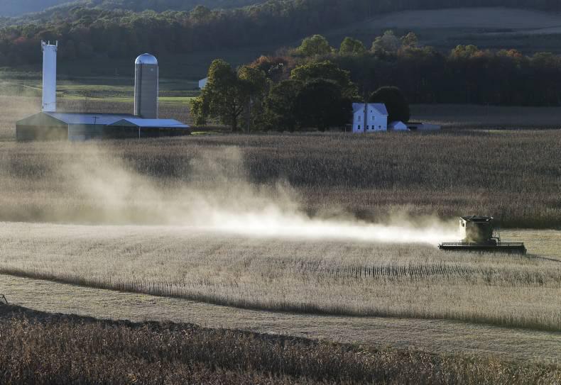 Dreyfus Commodities hit by 'erratic' grain markets