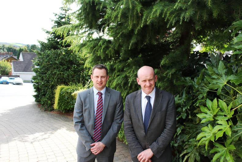 Cow body condition score is king