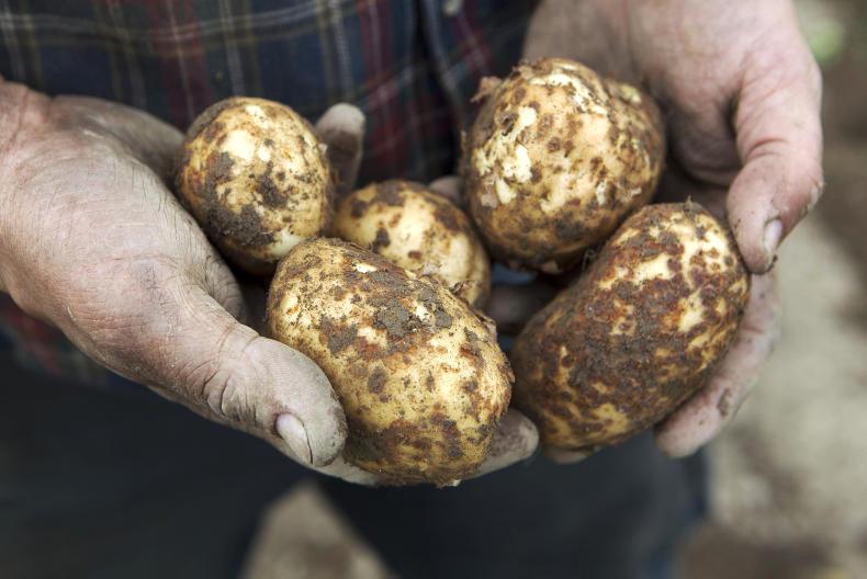 National Potato Day: Retailers urged to recognise investments made by growers