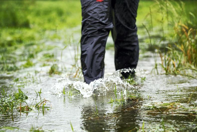 Listen: rain-drenched Donegal facing 'fodder shortage'