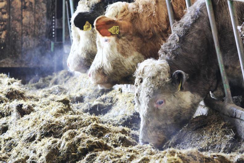 Factors to consider in B&B agreements