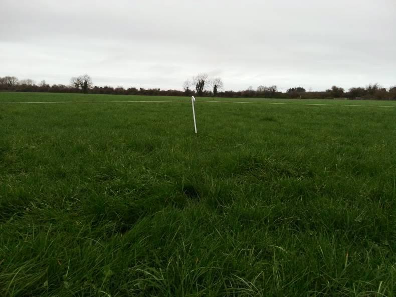 Farmer Writes: Extolling the virtues of farming to the next generation