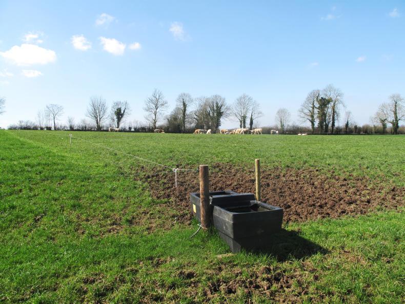 10 options for managing heavy grass covers before winter