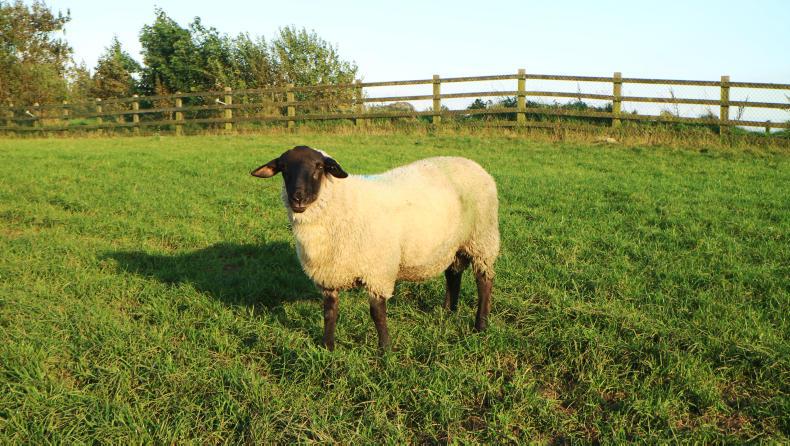 Guarding against fertility issues