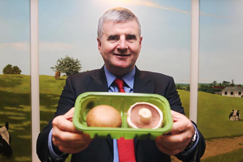 Mushroom industry 'in crisis' but confident it can weather the storm