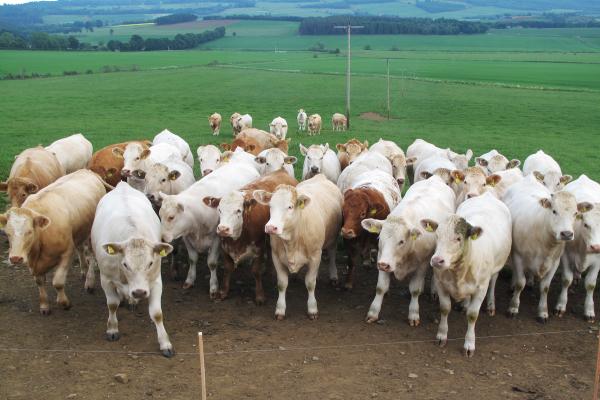 HMRC consults on making tax digital