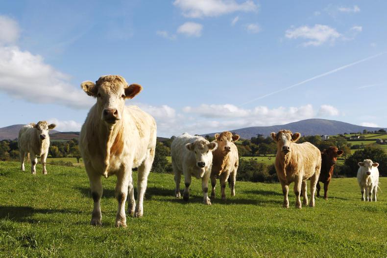 110,500 paid €722m in BPS advance payment