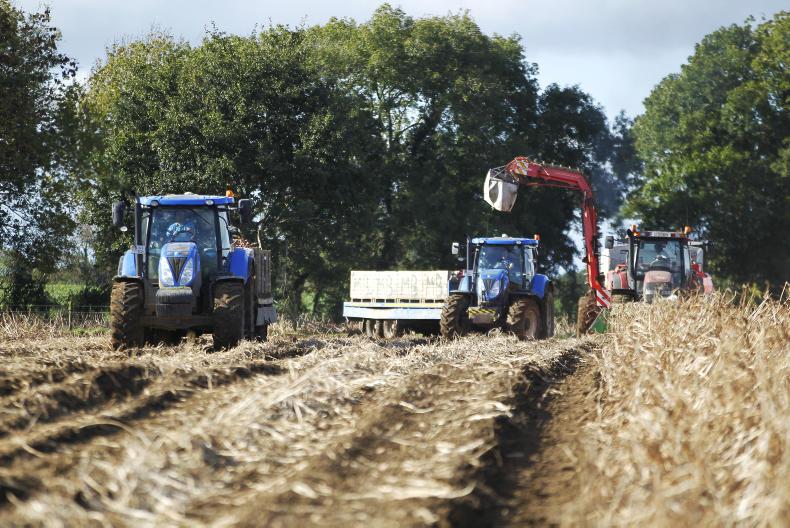 Weekend gallery: Ballyjamesduff Mart and potato harvesting