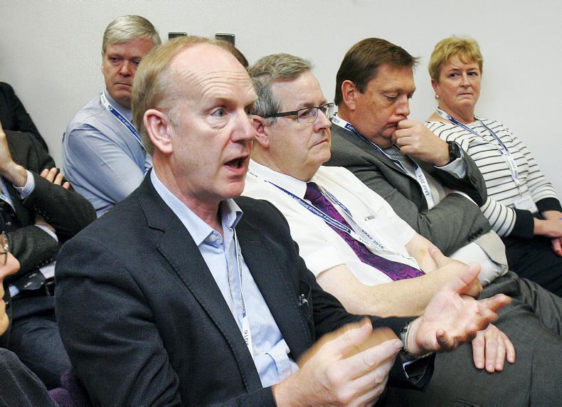 Mayne appointed new AFBI chief