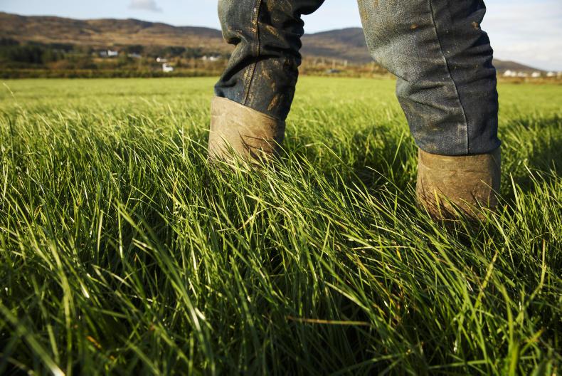 Survey finds a quarter of people in rural Ireland fear loneliness