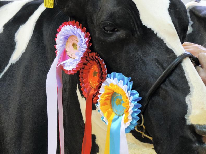 In pictures: National Dairy Show 2016      