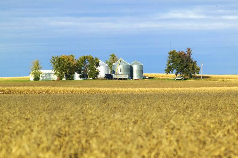 Global report - stories from around the world