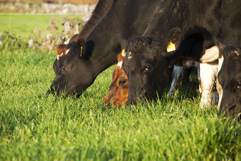 Know your ag quiz - part two  