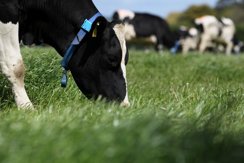 What's On from Tuesday, 1 November 2016