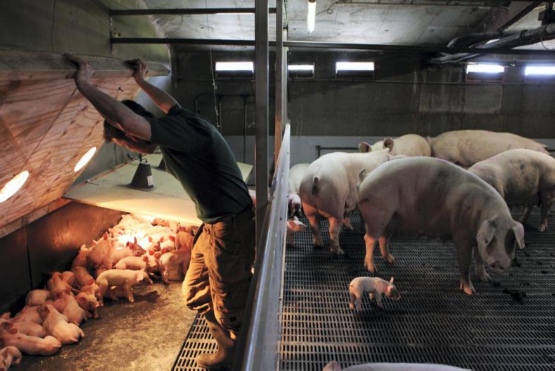 Teagasc Pig Research, Advisory, Education and Training Programme 2016-2020