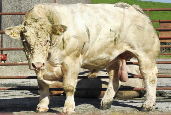 News in-brief from Northern Ireland