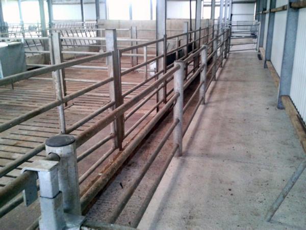 Garavelli-linked firm enters meat business