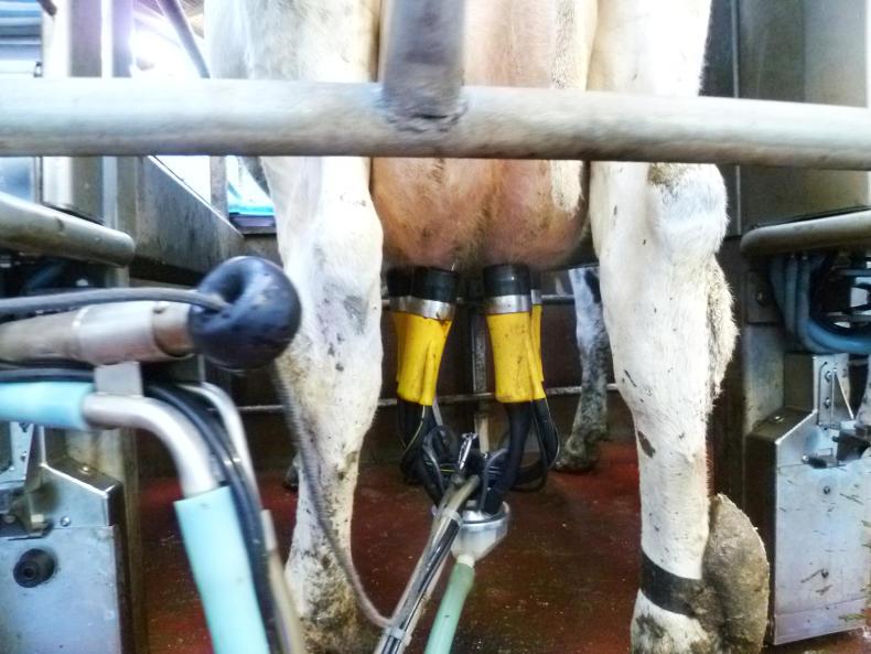 Dale Farm opens for new suppliers