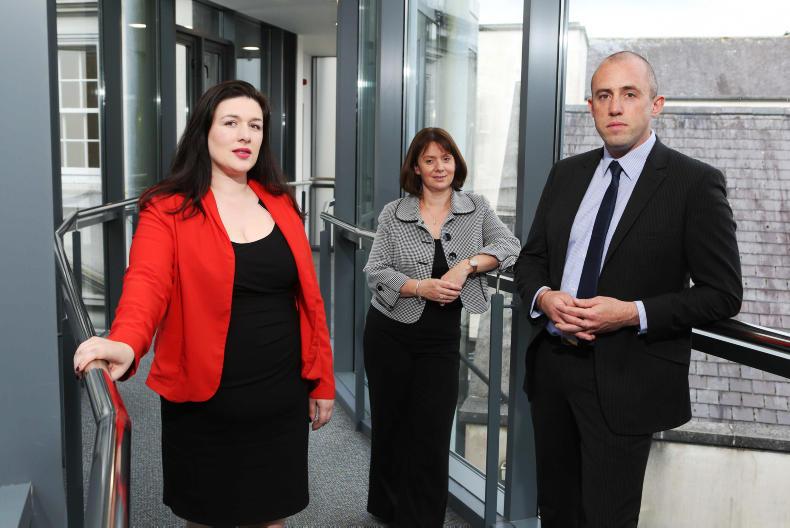 Academics muck in on dairy farms in search for agri-tech solutions 