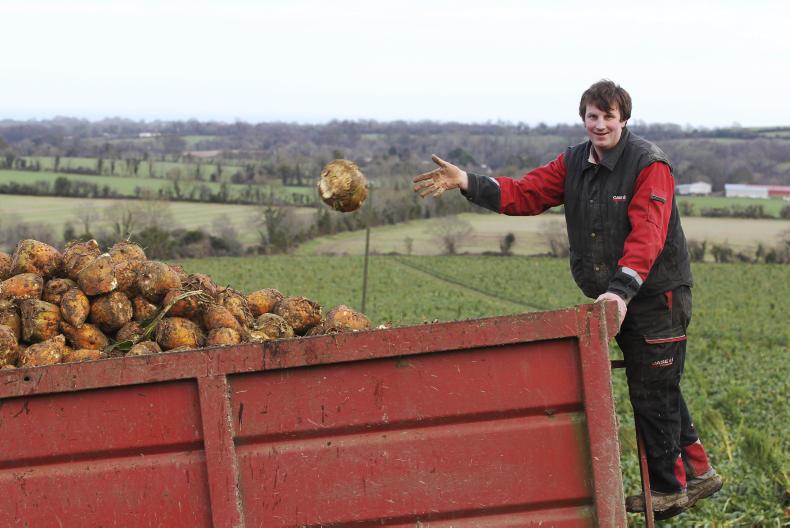 Beet it - like reaching for dessert with a full belly