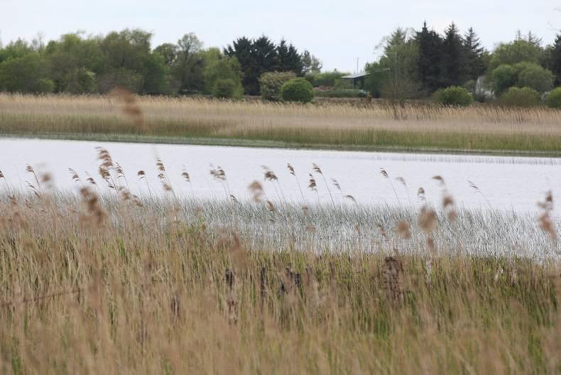 GLAS III opens to farmers next Monday