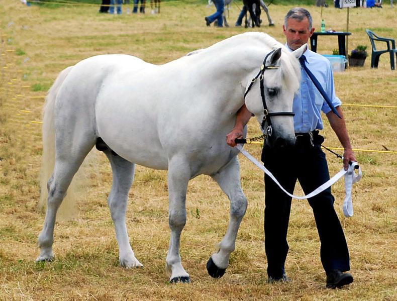 Roll up for Heartland Heritage Festival