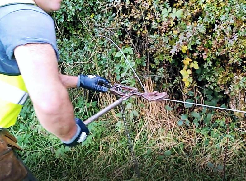 Watch how to erect singlestrand electric fencing Premium