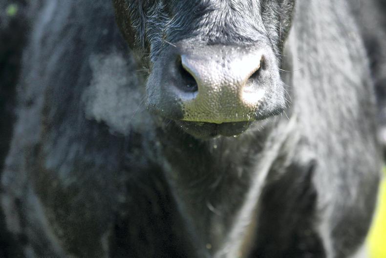 Food getting more expensive   