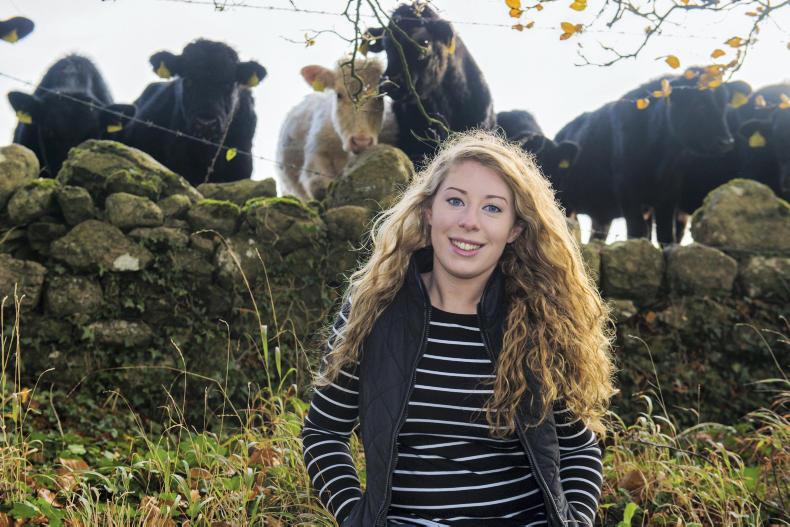 My farming week Karen Elliffe, Streamstown, Kilbeggan, Co Westmeath Free