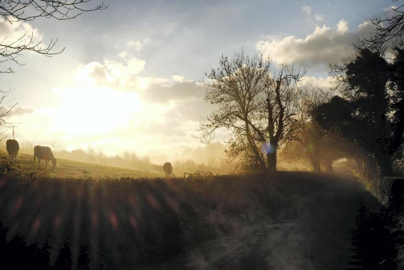 Four tractors, a quad and a log splitter stolen in Leitrim