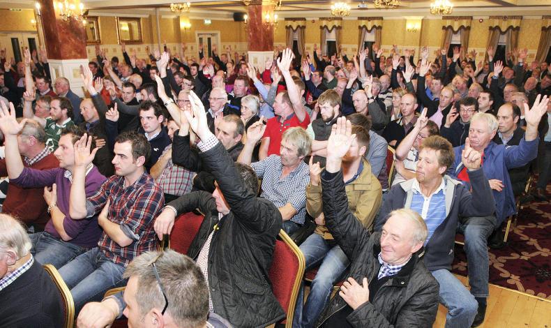 NI milk strike gets farmer backing