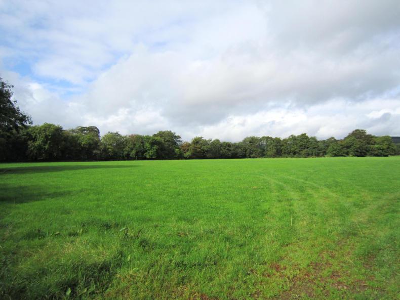 News round-up from Northern Ireland