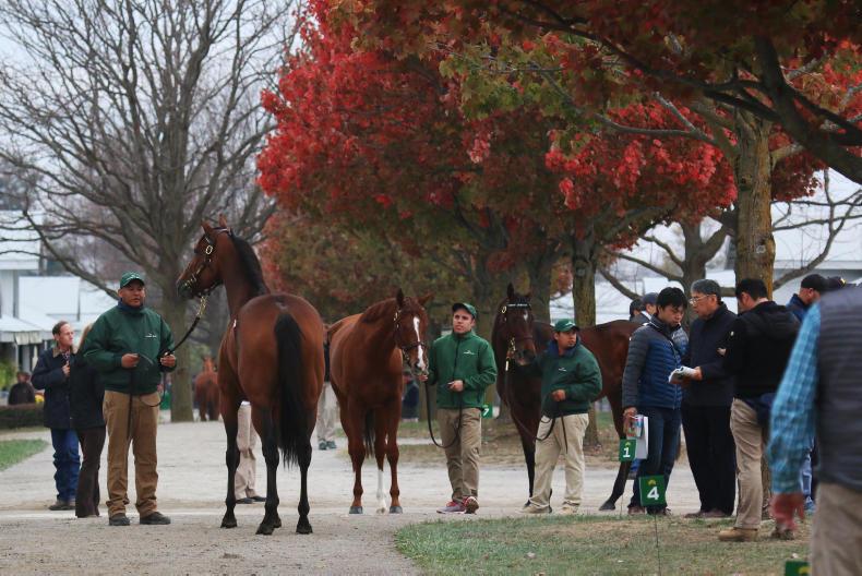 Warrenstown Remembered book launch