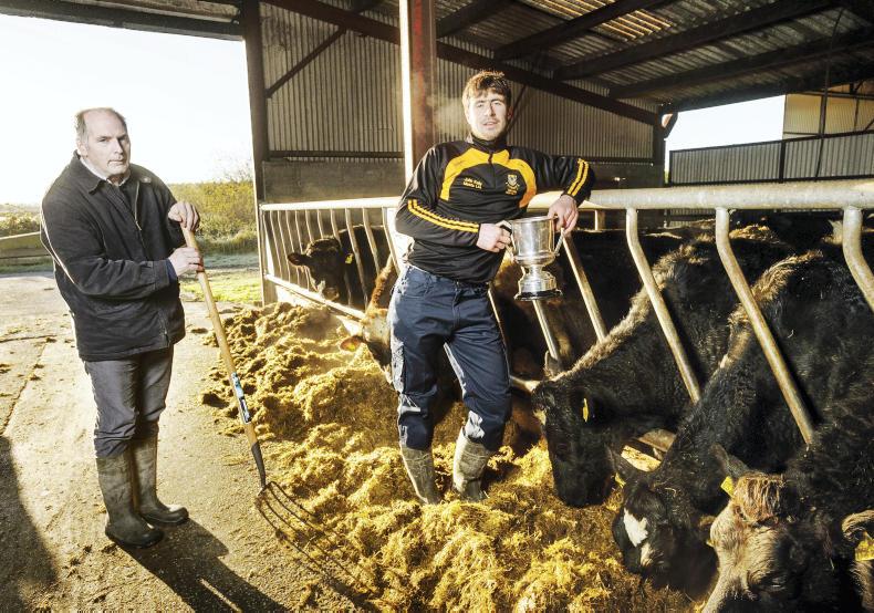My farming week: James Murphy, Ballynacally, Co Clare