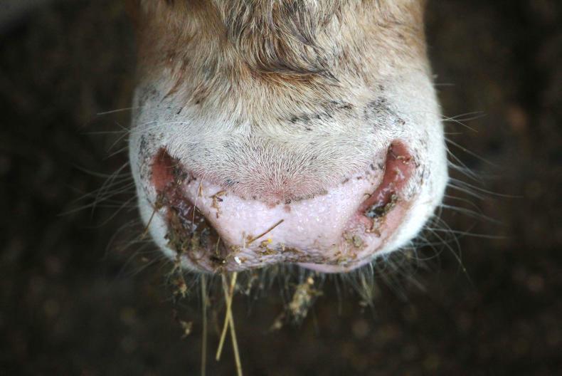 Farmer Writes: food, but not as we know it