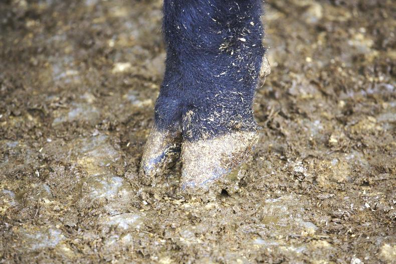 Revenue sat on Kerry shares issue for a year