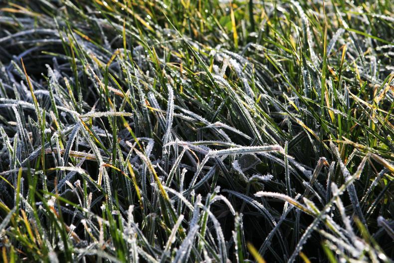 Weekend weather: Low temperature warning