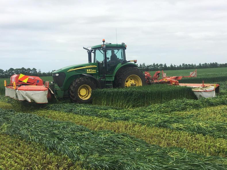 Farmer Writes: signs of summer in Canterbury