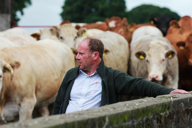 Farmer writes: making the case for the alternative