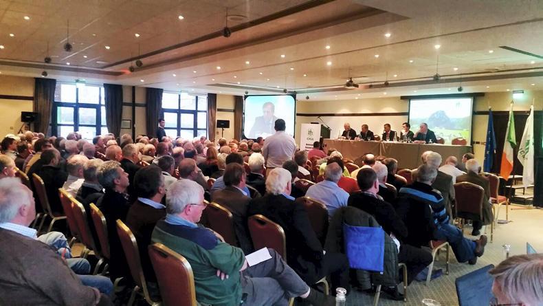 Brexit causing as much fear as BSE -  Comer