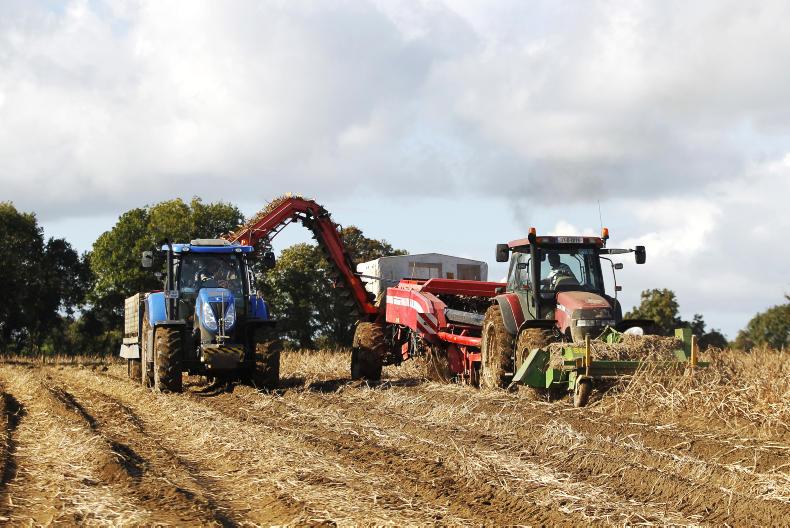 Listen: below average yield and quality from NI potato harvest