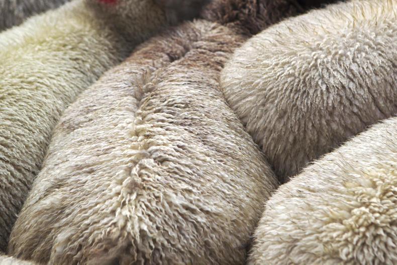 Lamb prices hold steady in the marts