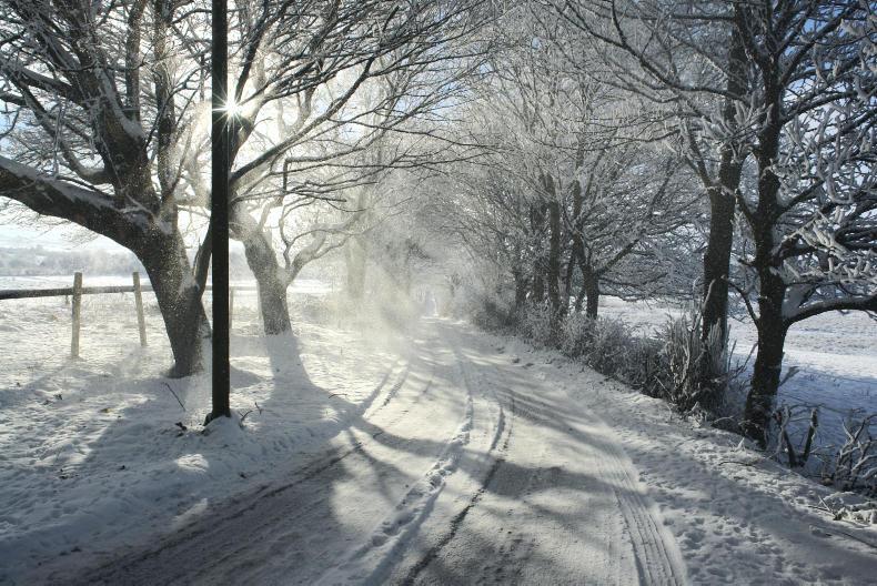 Mairead Lavery's top 10 tips for a family Christmas