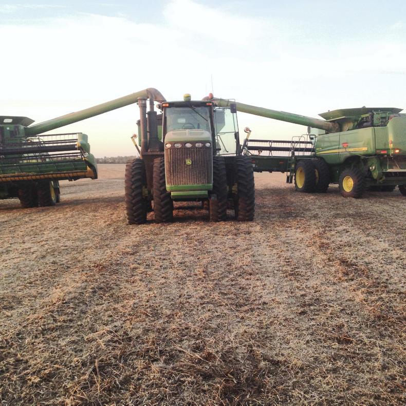 Short 2016 harvest at Graham, Missouri